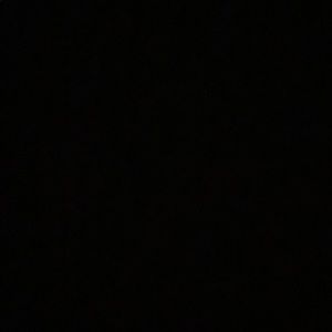 Meet your Posher, Reagan